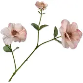 Silk-ka - Kunstbloem - creme - H72 cm - 2 stuks