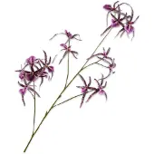 Silk-ka Kunstbloem-Zijden Bloem Orchidee Tak Paars-Roze 108 cm