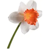 Silk-ka - Kunstbloem - wit - H58 cm