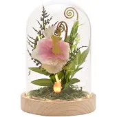 W M Widdop Widdop & Co. Disney Princess Moana Vaiana Figure Veelkleurig Kinderen