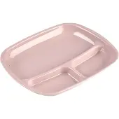 PlasticForte vakjes diner borden - roze - kunststof - 21 x 24 cm - 3 vakken - bbq en camping