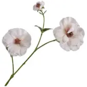 Silk-ka - Kunstbloem - creme - H72 cm - 2 stuks