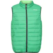 Regatta Heren Marizion Gewatteerd Gilet (Veldgroen/Jasmijngroen)