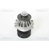 TRISCAN 8600 11004 Waterpomp