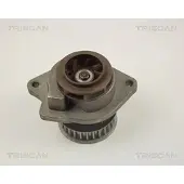 TRISCAN 8600 29018 Waterpomp