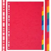 Exacompta 25x Tabbladen gerecycleerd karton 220g - 10 tabs - A4 maxi - Geassorteerd - 2110E