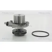 TRISCAN 8600 29065 Waterpomp