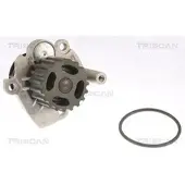 TRISCAN 8600 29041 Waterpomp