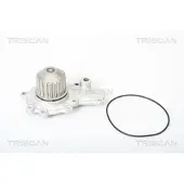 TRISCAN 8600 80003 Waterpomp