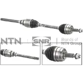 SNR As DK55.291
