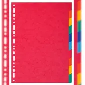 Exacompta 10x Tabbladen in glanskarton 225g - 10 tabs - A4 - Geassorteerd - 1410E