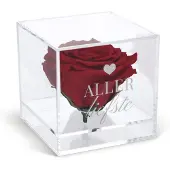 Yoursurprise Preserved rose in glas (plexi)