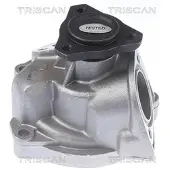 TRISCAN 8600 29896 Waterpomp