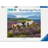 Ravensburger Wild Horses in the Heather Puzzel (2000 stukjes)