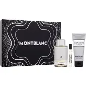 Mont Blanc Explorer Platinum Gift Set