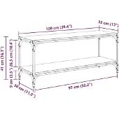 vidaXL TV Kast 2-laags 100 x 33 x 41 cm Geengineerd Hout en IJzer