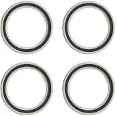 Fulcrum R0-025 Bearings Zilver