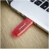 Intenso () Rainbow Line USB stick - 128GB - USB 2.0 - rood