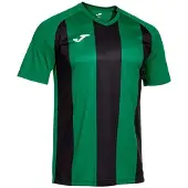 Joma Inter Iv T-shirt Met Korte Mouwen Groen L Man