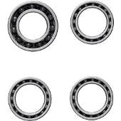 Ceramicspeed Zipp-5 Coated Lagers