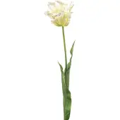 Emerald - Kunstbloem Tulp Parrot 68cm Wit/groen - Kunstplant voor binnen
