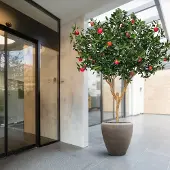 Maxifleur Kunstplanten Kunst Appelboom Deluxe XL 280cm