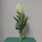 Erutan avon Holland tulp bundel Sally x3 25cm creme