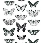 Oz Vlinder behang 3261