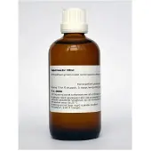 Homeoden Heel Echinacea purpurea phyto