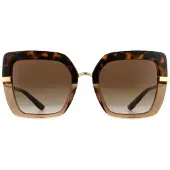 Dolce&Gabbana Zonnebril DG4373 325613 Top Havana On Transparent Bruin Bruin Verloop