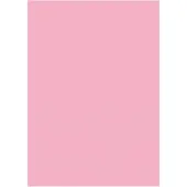 Folia - Fotokarton Folia 2zijdig 50x70cm 300gr nr26 lichtroze | 10 stuks