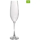 Salt & pepper Champagneglas Saga Transparent 290 ml (Set van 4)