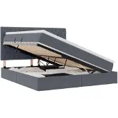 vidaXL Opslag bed met matras Donkergrijs 160 x 200 cm Fluweel