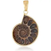 Cavill - 22 Karaat Goud Ammoniet Hanger - 925 Sterling Zilver Verguld - Spiraalvormig Fossiel - Natuurlijk & Elegant - 40x23 mm