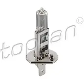 Topran 109 100 Gloeilamp, verstraler
