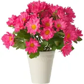 J-Line madeliefje - kunststof - fuchsia