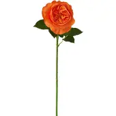 J-Line roos Echt Gevoel - kunststof - oranje - 4 stuks