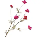 Buitengewoon Boet Cosmos beauty 77 cm kunstbloem