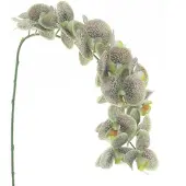Buitengewoon Boet Phalaenopsis spray bensa groen 111 cm kunstbloem