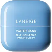 Laneige Water Bank Hydraterende herstellende crème met microhyaluronzuur 50 ml (Intensive)