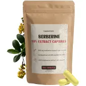 Cupplement - Berberine Extract Capsules 400 mg - Voordeelverpakking 180 St