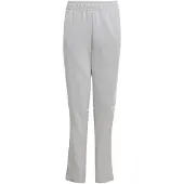 Adidas Sportbroek 'Squadra 25' lichtgrijs / wit