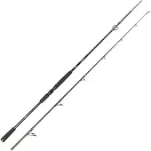 Spro Big Lure Spinning Rod Zilver 2.20 m / 40-120 g