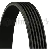CONTITECH Multiriem 6PK1145 Contitech voor o.a. CITROEN, FIAT, FORD, PEUGEOT, RENAULT, SEAT, SUZUKI, TOYOTA, VOLKSWAGEN, VOLVO