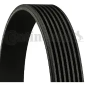 CONTITECH Multiriem 7PK1125 Contitech voor o.a. NISSAN, RENAULT