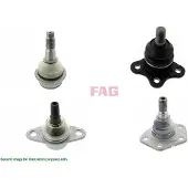 Fag Fuseekogel 825 0485 10