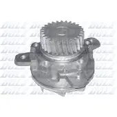 DOLZ Waterpomp V207