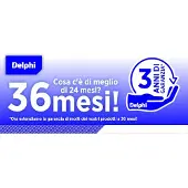 Delphi LH7967 Remslang