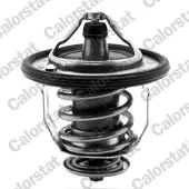 CALORSTAT by Vernet TH5434.82J Thermostaat, koelvloeistof