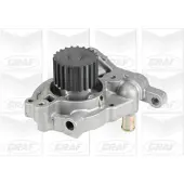 Graf PA928 Waterpomp
